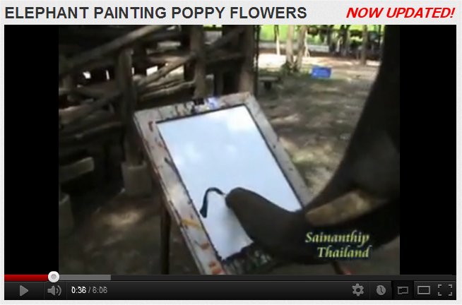 Click Here To View!